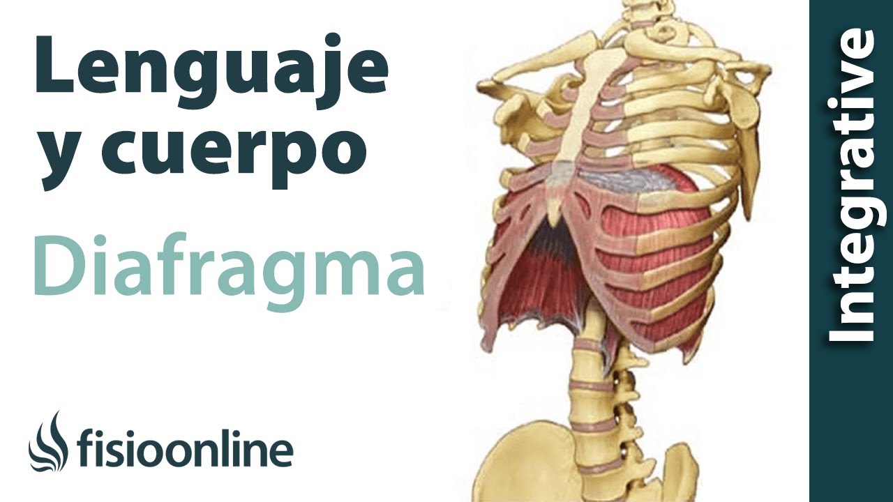Contractura en el diafragma sintomas