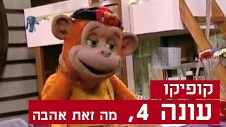 קופיקו עונה 4, פרק  21  מה זאת אהבה