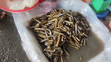 Chợ Phan Rí Cửa | Dạo quanh chợ Phan Rí /@