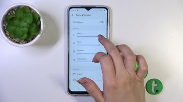How to Mute Ringtone on Tecno Spark Go?