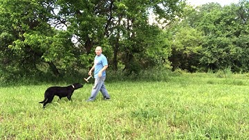 Ike Force Fetch Part 3