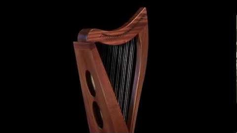 Allegro 26 built by Dusty Strings