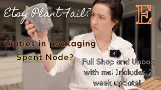 Come Etsy Plant Mail Shopping with me Plus Unboxing! Bad packaging and Spent node? 2 week update!