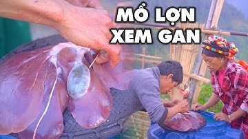 PHONG TỤC M.Ổ LỢN XEM GAN TRONG NGÀY TẾT CỦA NGƯỜI HÀ NHÌ HOA MƯỜNG TÈ LAI CHÂU