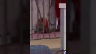 Kader Loth Fällt In Ohnmacht Vol.1