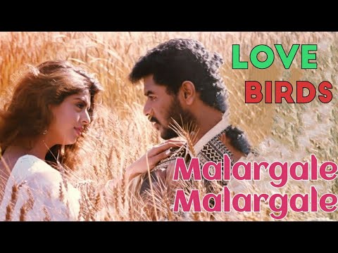 Malargale Malargale | Love Birds | Tamil WhatsApp Status | A.R. Rahman | Prabhu Deva | Nagma