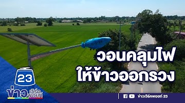 ชาวนาโอดขอแค่เดือนเดียว คลุมไฟให้ข้าวออกรวง l ข่าวเวิร์คพอยท์ l 25 พ.ย. 63