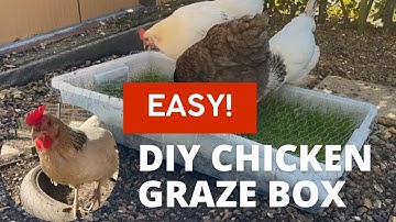 Easy DIY Chicken Graze Box