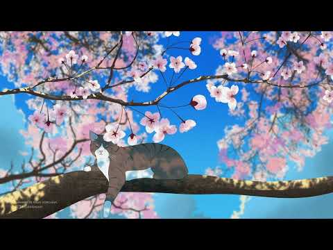 Lo-fi Chill Playlist: Sunny Hanami Day ☀️ Calm Spring Vibes