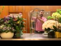 La Casa con Flores. Episodio 3. Arreglo para la sala