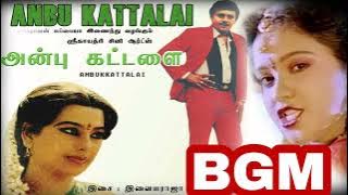 Anbu kattalai ilayaraja bgm...