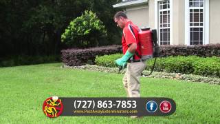 Lawn Spray in Trinity | Call (727) 863-7853