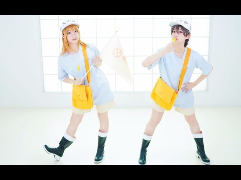 【浩浩】血小板之歌❤可爱的男孩子or女孩子❤总有一款适合你【工作细胞】