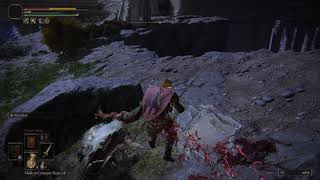 Never seen this glitch before - Elden Ring