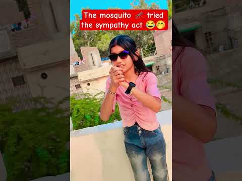 هذه البعوضة كوميديا مضحك ضحك اتجاه قابل للتواصل فيديو قصير اتجاه فيروسي