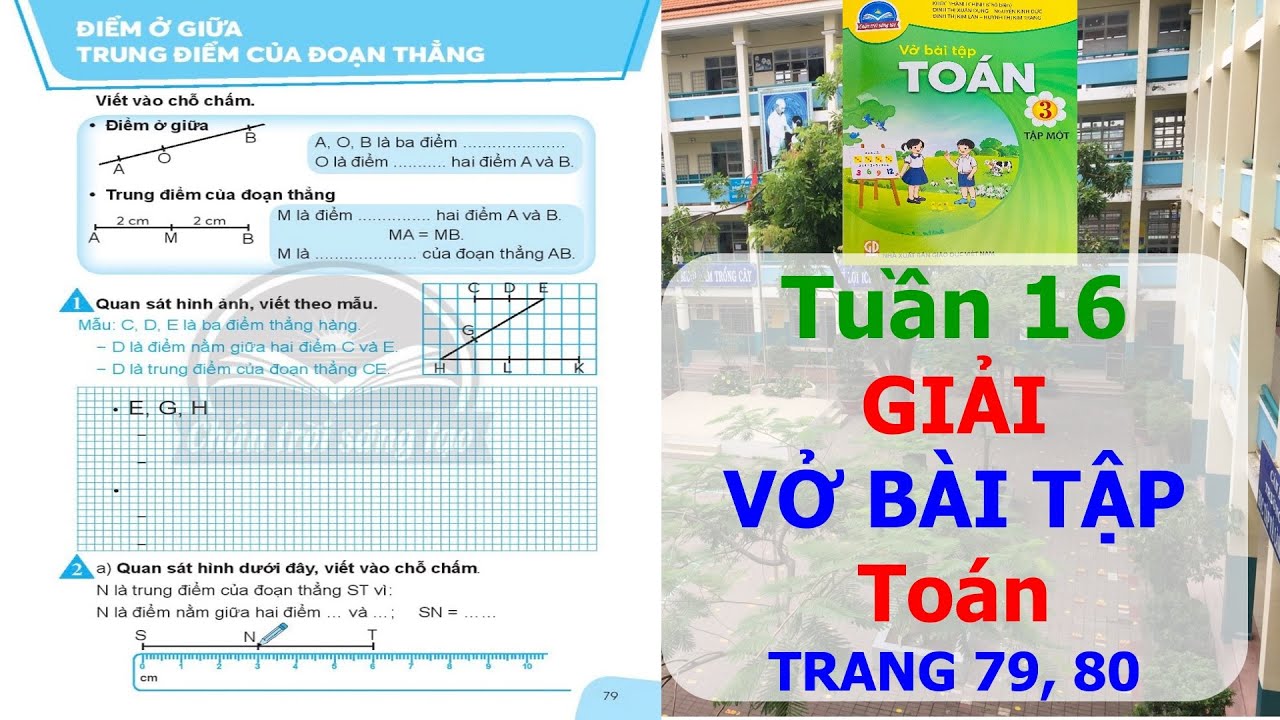 [Chân trời sáng tạo]Vở bài tập Toán 3 trang 79,80 |... - youtube