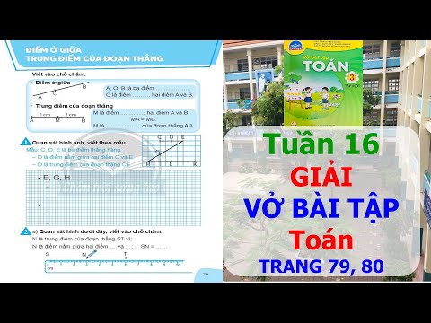 Video [Chân trời sáng tạo]Vở bài tập Toán 3 trang 79,80 |... - youtube