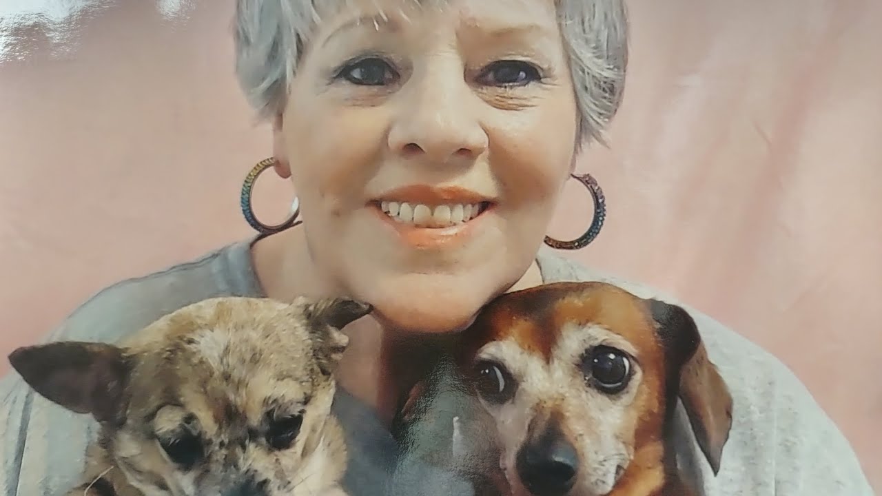 JUST DOG STUFF YouTube just-dog-stuff-youtube