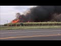 Sugarcane burn before harvest