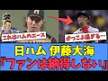 【ハムのエース】日ハム伊藤大海、上沢についてのコメントがかっこよ過ぎるｗｗｗ