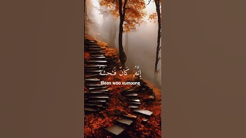 ﴿ وَلَا تَقْرَبُوا الزِّنَا ۖ إِنَّهُ كَانَ فَاحِشَةً وَسَاءَ سَبِيلًا﴾[ سورة الإسراء: 32]#قرآن #fy