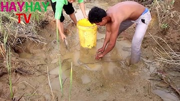 Không Còn Cách Nào Bắt Cá Dễ Hơn Cách Này Chỉ Việc Đắp Bờ Tát Nước Là Bắt Được Cá