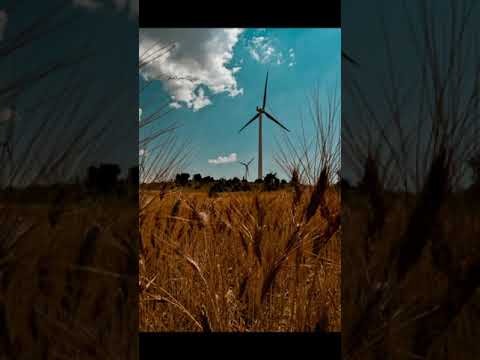Şiir : Fatih