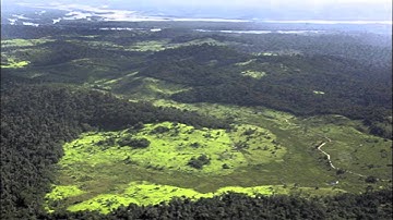 Ganymede (part 2) - Shinra