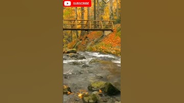 أوائل سورة النحل لخالد الجليل #quran