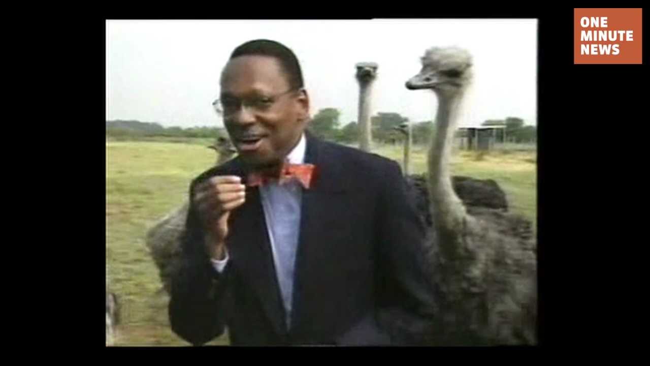 You Make Ostriches Horny - Youtube