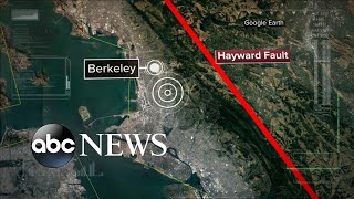 Quake jolted the san francisco bay area ...