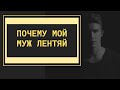 Почему мой муж безынициативный лентяй