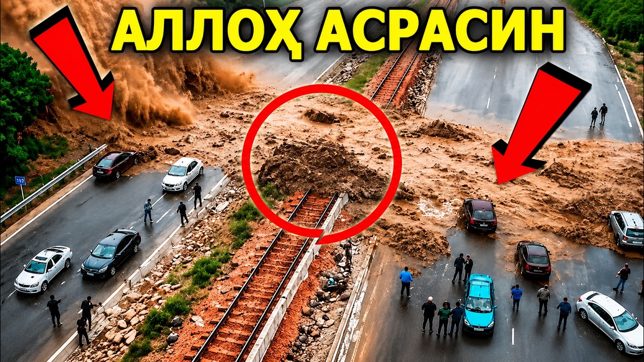 Latest Title & Thumbnail