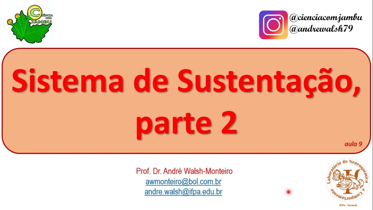 Morfofisiologia Comparada: Sistema de Sustentação, parte 2 #09