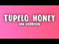 Van Morrison - Tupelo Honey (Lyrics)