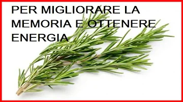 Come usare il rosmarino per la memoria?