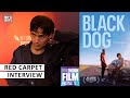 Black Dog LFF Premiere - Jamie Flatters on the incredible journey from idea to script to screen