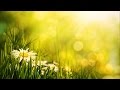 Morning Relaxing Music - Uplifting Feeling and Positive Energy (Ariana)