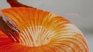 Premios Artesanía de Galicia 2021. Gañadora Premio Artesanía de Galicia. Idoia Cuesta.
