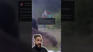 Bisão ataca e ARREMESSA idoso no ar em parque dos EUA! 🦬