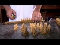 Abelhas Rainha criadas em laboratório faz Colmeias produzir mais mel