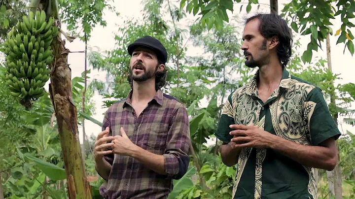 AGROFORESTRY COURSE | Lesson 11, Module 3 - Stratification of Species | Food Forest COURSE |