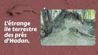 Un site remarquable qui pourrait être une ile terrestre.