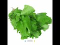 பசலை கீரை பயன்கள்🥬 #pasalaikeerai#spinach#nature #fitness #healthandwellness @Growwithshahinsview