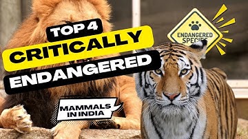 Top 4 critically endangered species in India #trending #endangeredspecies #iucn #viral #staticgk
