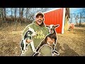 I Bought BABY GOATS for My BACKYARD FARM!!!