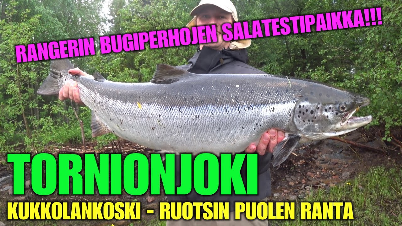 TORNIONJOKI RANTAKALASTUS - KUKKOLANKOSKI ( Ruotsin puolen rantanäkymät ja heittovinkit lohelle )