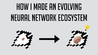 How I created an evolving neural network ecosystem