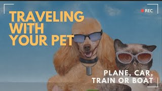 Travel w/your Pet by Car, Plane, Train, or  Boat  #PetTravel #travelwithpets  #petfriendlytravel