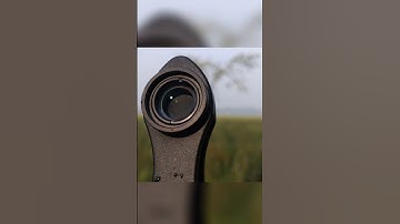 Apexel 12-24x macro lens photography #apexellens #macrophotographyideas